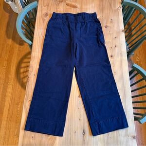 J. Crew Navy Blue Elastic Waist Pants